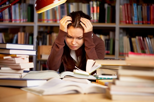 Ngôn ngữ là yếu tố quyết định đến sự thành công nơi xứ người