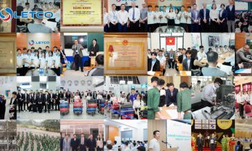 VỮNG CHÍ YÊN PHONG – MÃ ĐÁO THÀNH CÔNG
